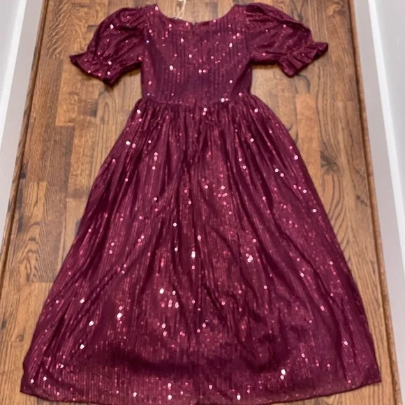 Sequined Clara Dress - Picture 5 of 6